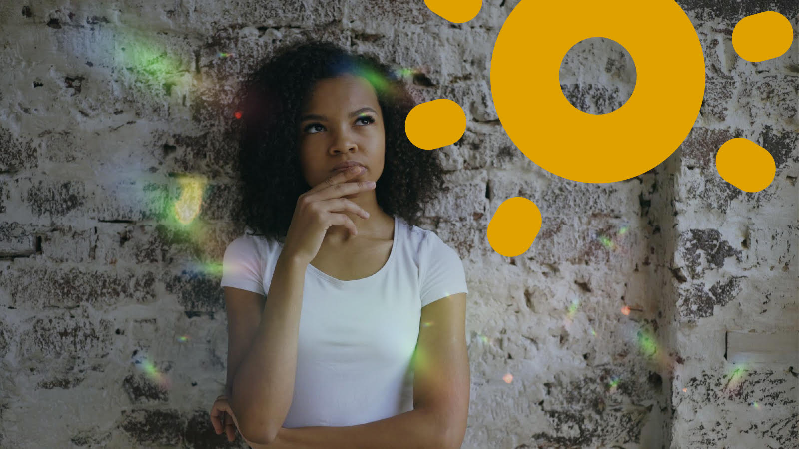 renovacion licencia, prórroga- que hacer